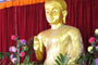 The eighty inches Buddha statue at Mahabodhi Daiyun temple. 