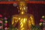 Venerable Phrakhru Sitthiwarakhom poses with the Abbot of Mahabodhi Daiyun temple.